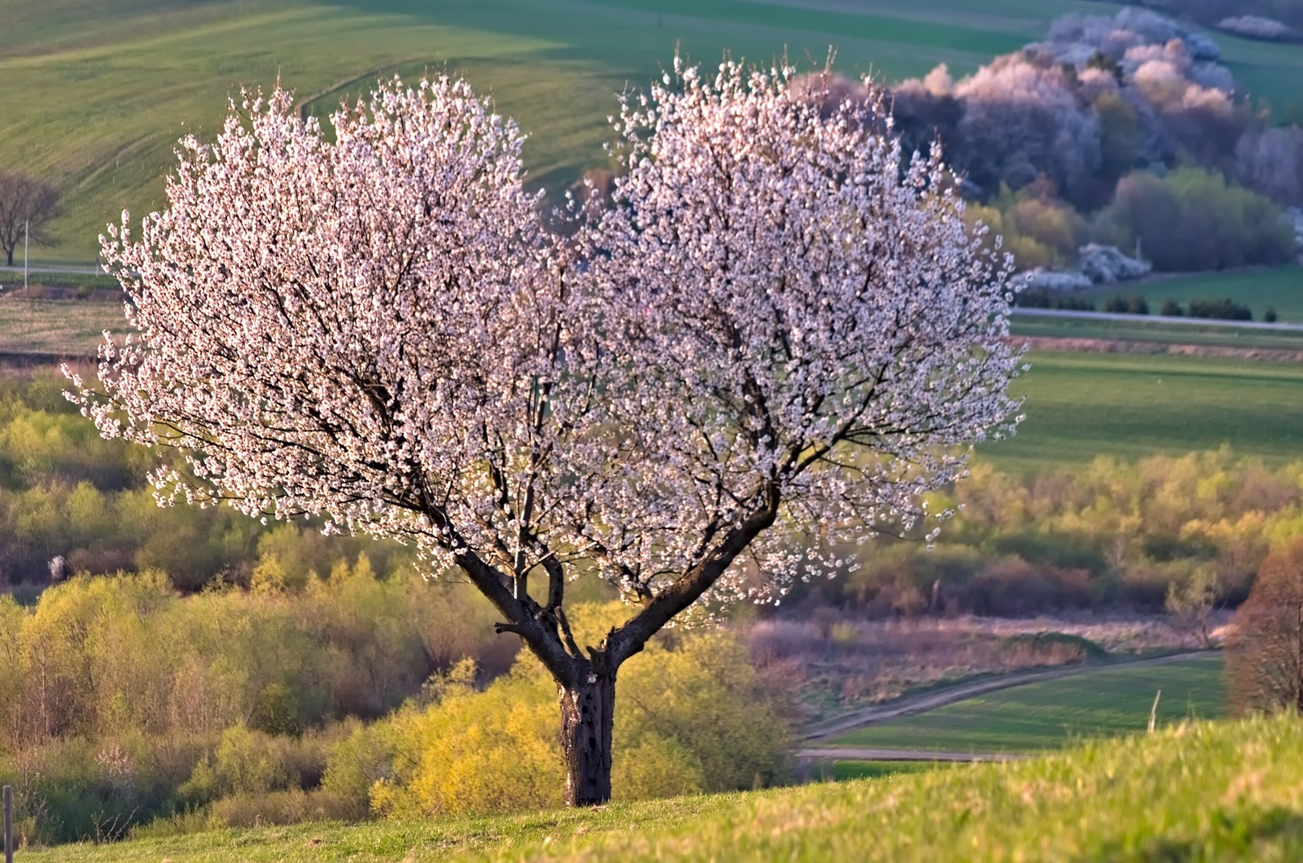 Si aggiustano cuori